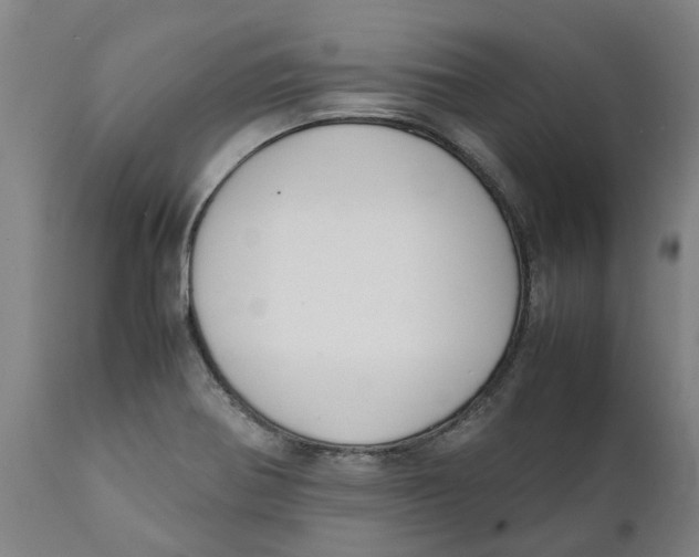 X0000111151370200907211153