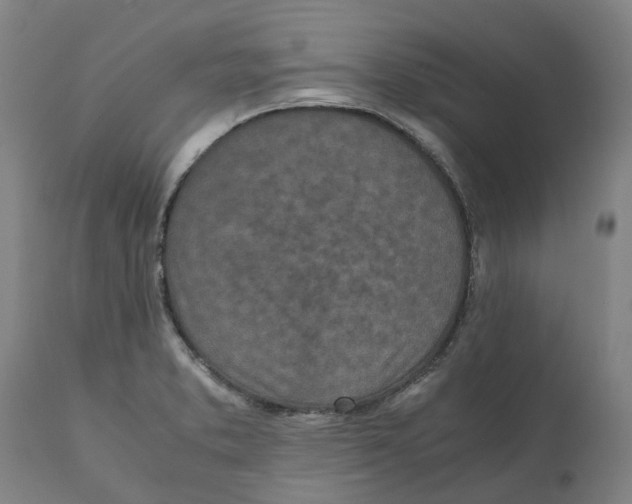 X0000111151373200907211153