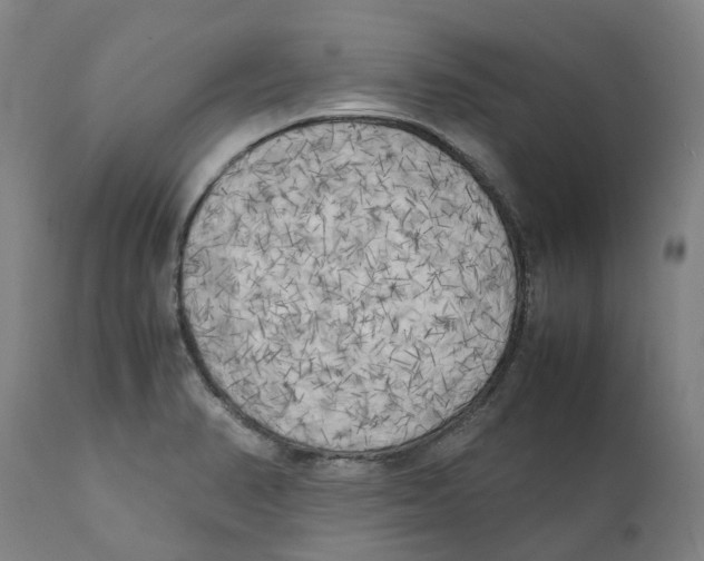 X0000111151374200907211153