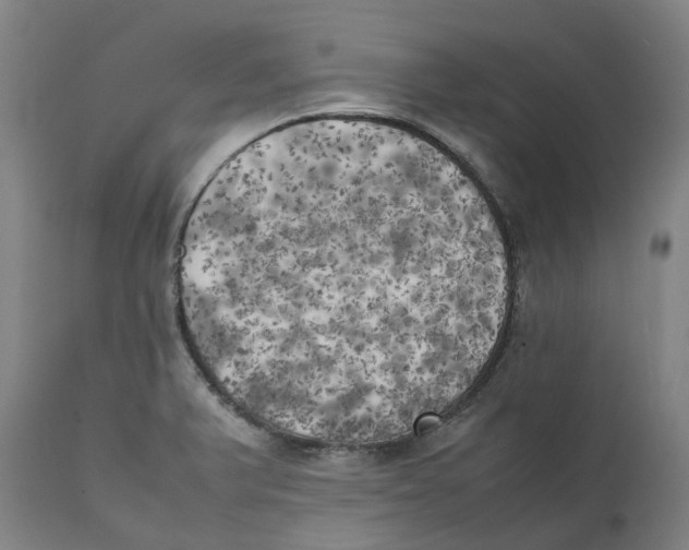 X0000111151375200907211153