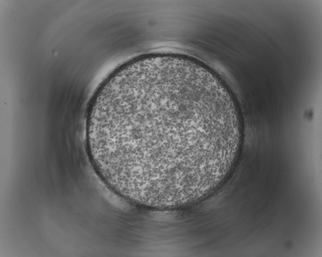 X0000111151376200907211153