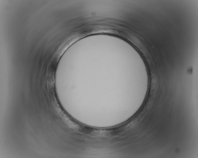 X0000111151377200907211153