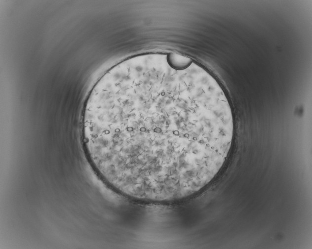 X0000111151379200907211153