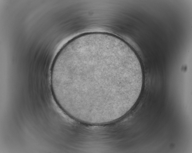 X0000111151380200907211153