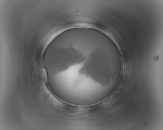 X0000111151381200907211153