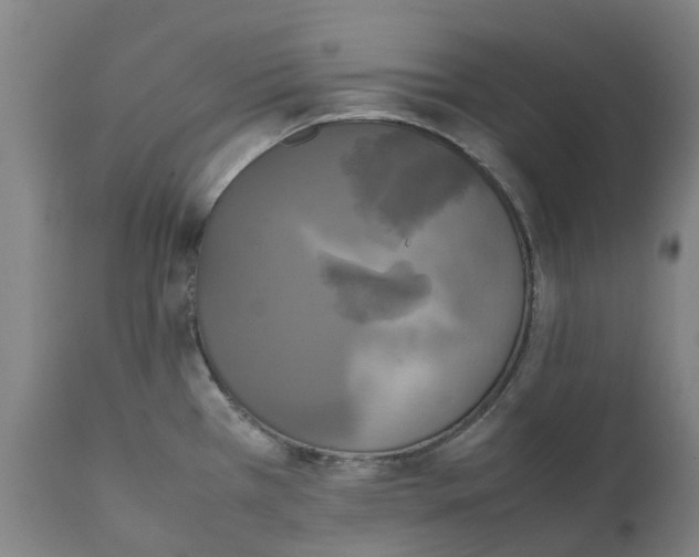 X0000111151385200907211153