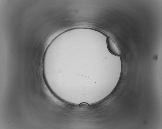 X0000111151387200907211153