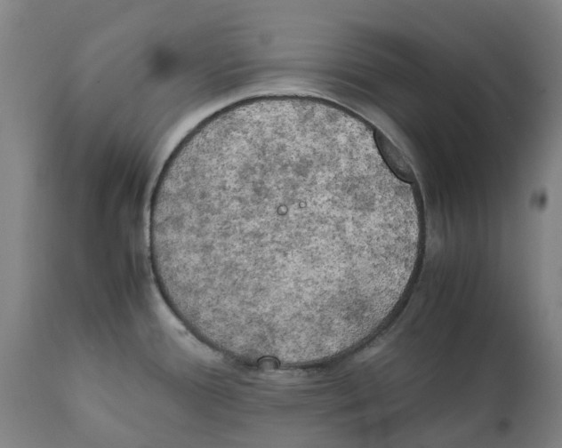 X0000111151388200907211153