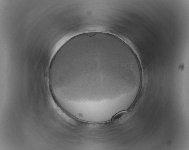 X0000111151389200907211153