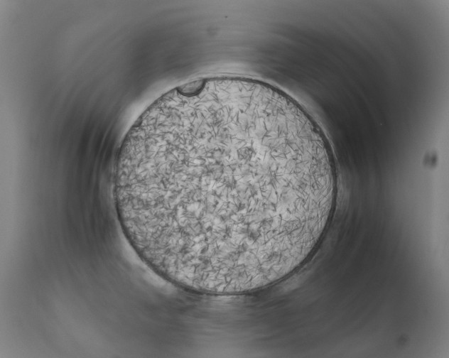X0000111151390200907211153