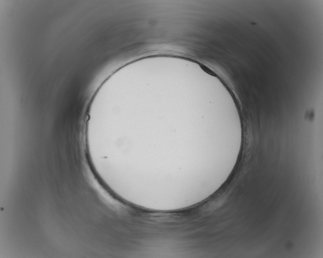 X0000111151391200907211153