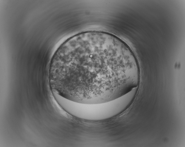 X0000111151392200907211153