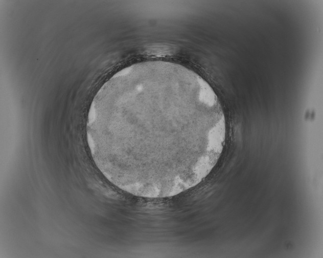 X0000111151393200907211152