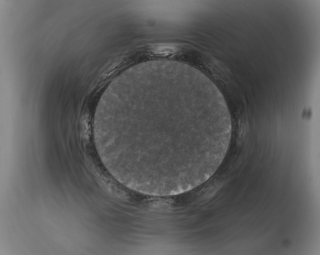 X0000111151394200907211152
