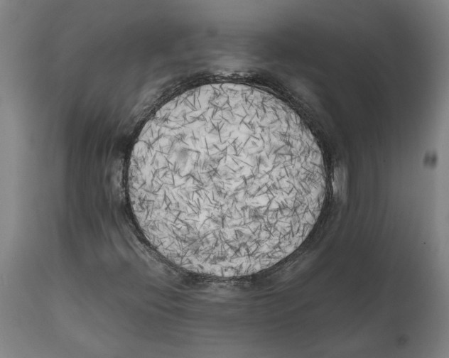 X0000111151396200907211152