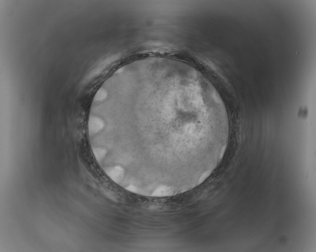X0000111151399200907211152