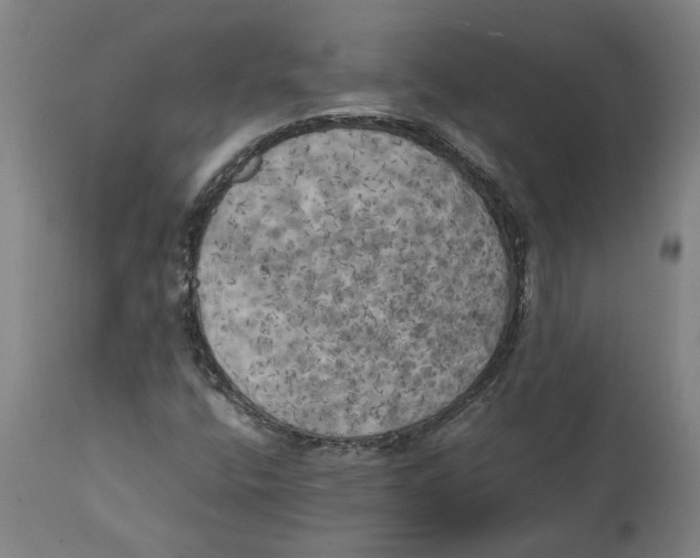 X0000111151400200907211152