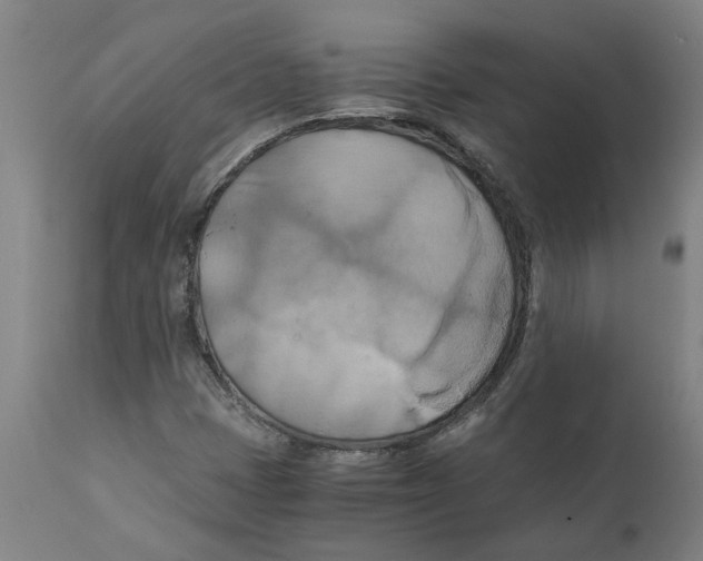X0000111151401200907211152