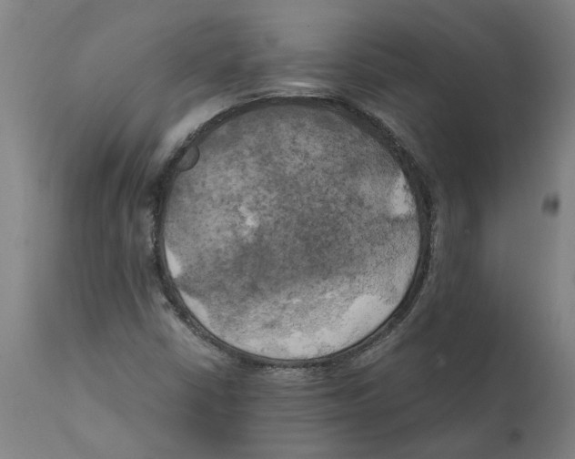 X0000111151402200907211152