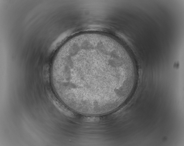 X0000111151403200907211152