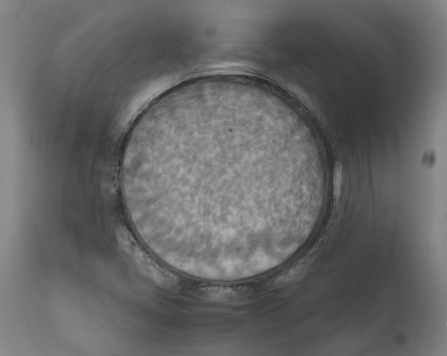 X0000111151405200907211152