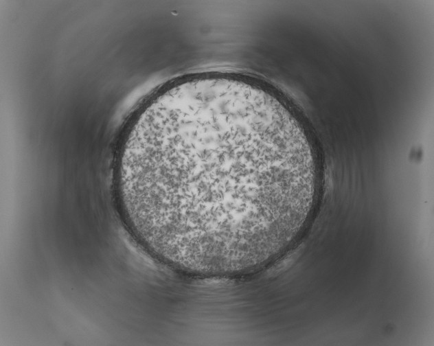 X0000111151406200907211152