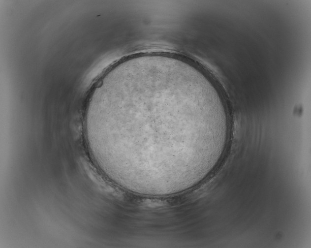 X0000111151407200907211152