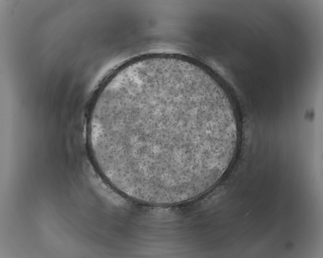 X0000111151408200907211152