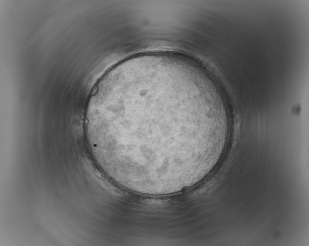 X0000111151409200907211152