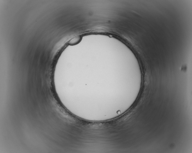 X0000111151410200907211152