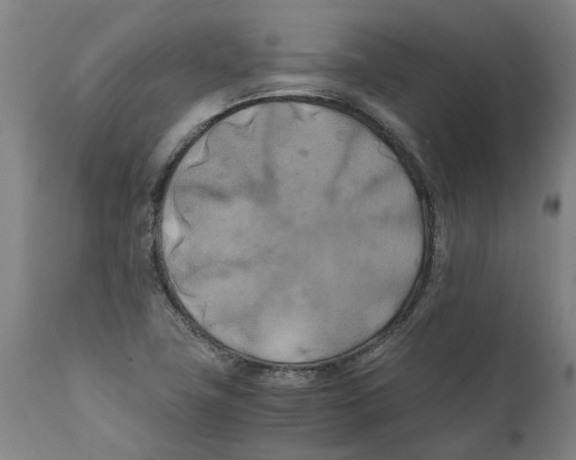 X0000111151411200907211152