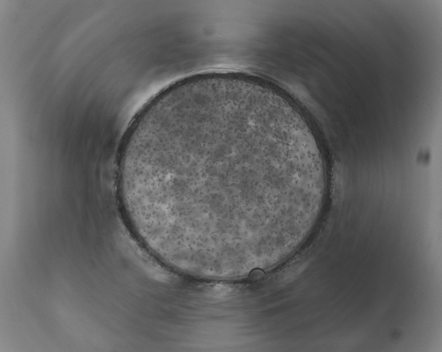 X0000111151412200907211152