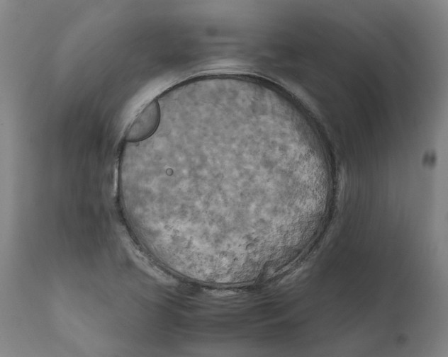 X0000111151413200907211152