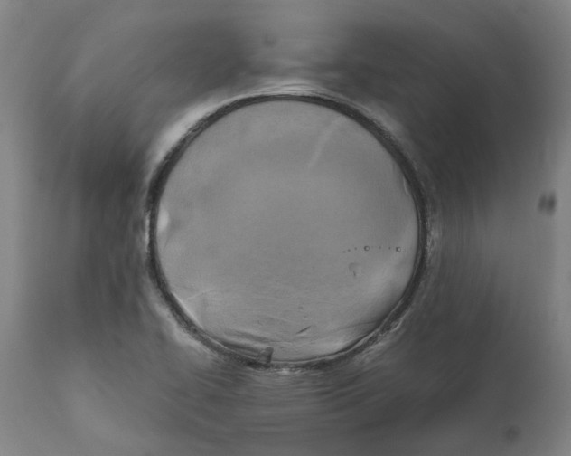 X0000111151414200907211152
