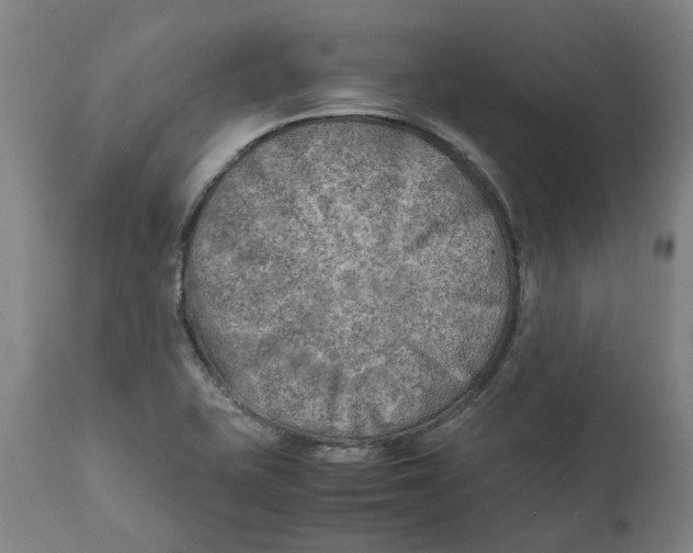 X0000111151415200907211152