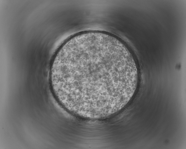 X0000111151416200907211152