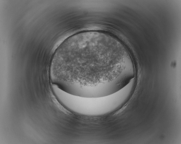 X0000111151417200907211152