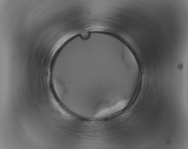X0000111151418200907211152