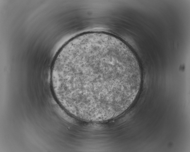 X0000111151420200907211152