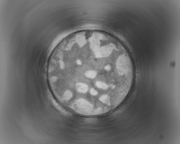 X0000111151421200907211152