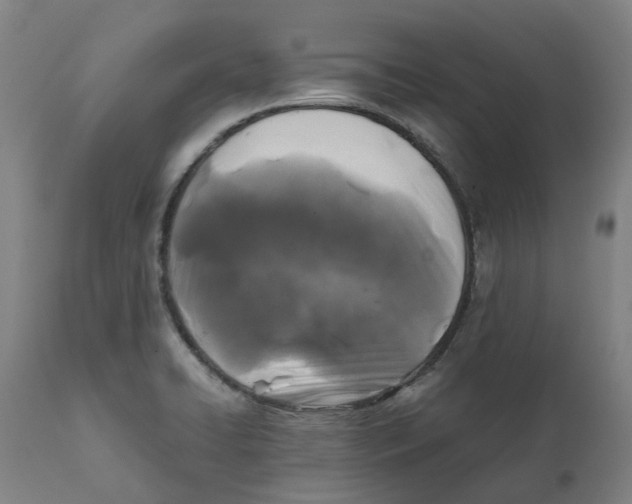 X0000111151422200907211152