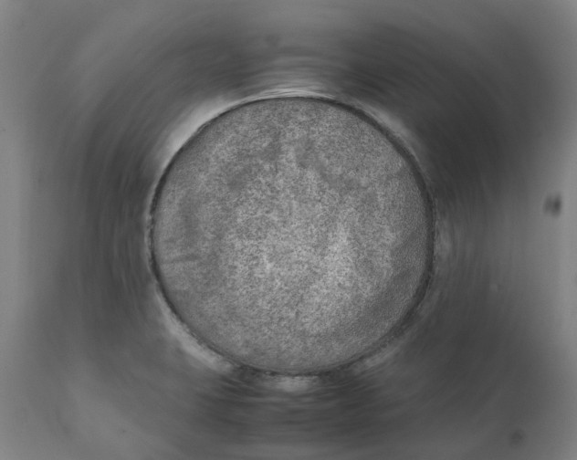 X0000111151423200907211152