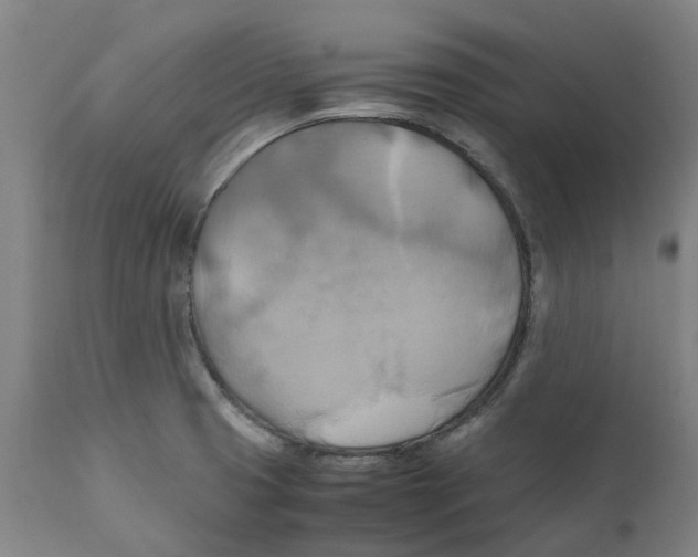 X0000111151425200907211152