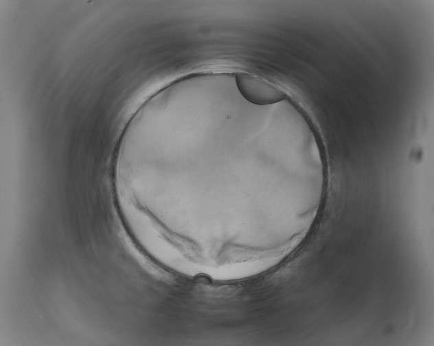 X0000111151429200907211152
