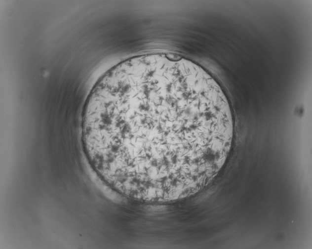 X0000111151431200907211152