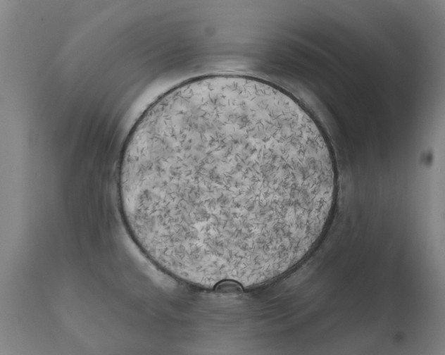 X0000111151432200907211152