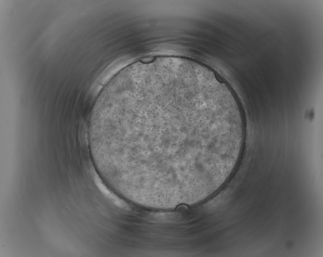 X0000111151433200907211153
