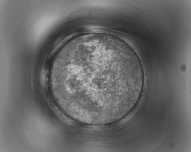 X0000111151438200907211153