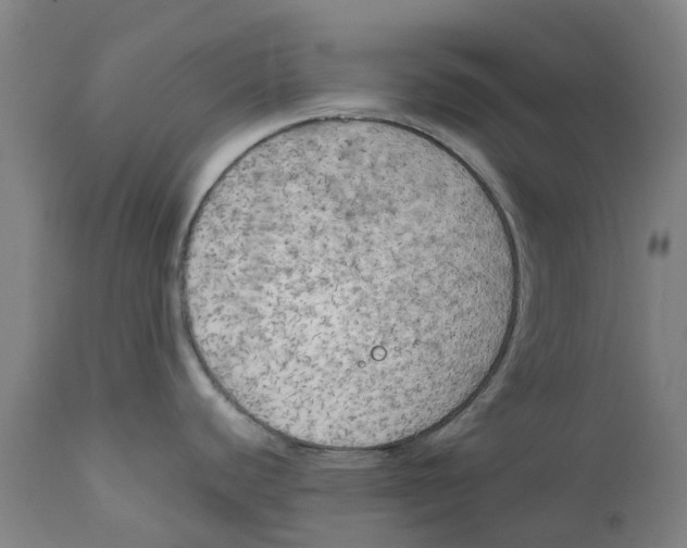 X0000111151440200907211153