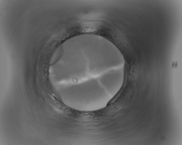 X0000111151441200907211152